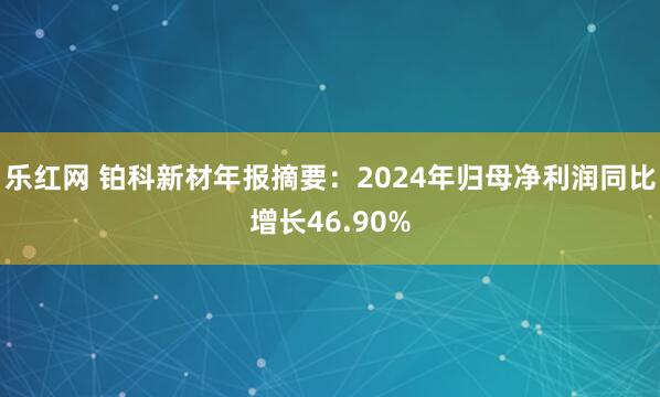 乐红网 铂科新材年报摘要：2024年归母净利润同比增长46.90%