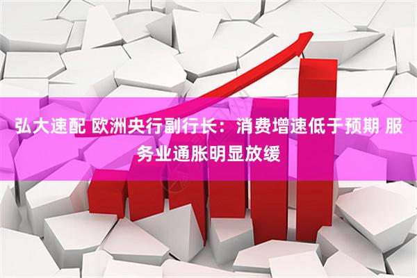 弘大速配 欧洲央行副行长：消费增速低于预期 服务业通胀明显放缓